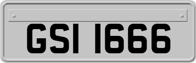 GSI1666