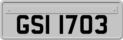 GSI1703