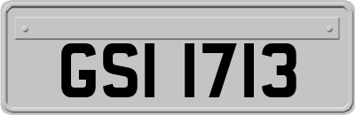 GSI1713