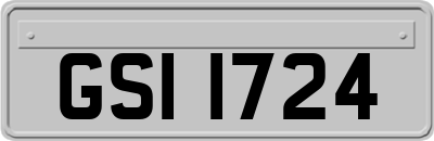 GSI1724