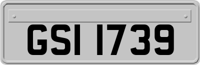 GSI1739
