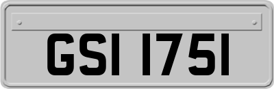 GSI1751