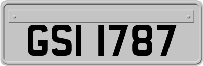 GSI1787