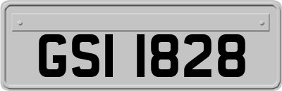 GSI1828