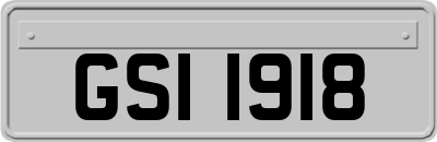 GSI1918