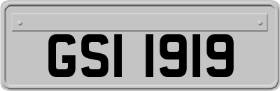 GSI1919
