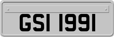GSI1991