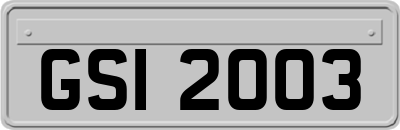 GSI2003