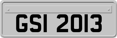 GSI2013