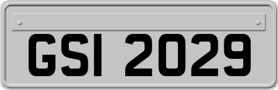 GSI2029