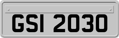 GSI2030