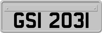 GSI2031