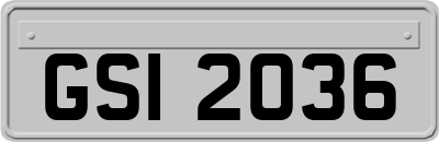 GSI2036