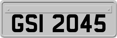 GSI2045
