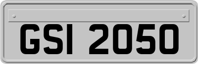 GSI2050