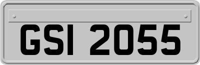 GSI2055