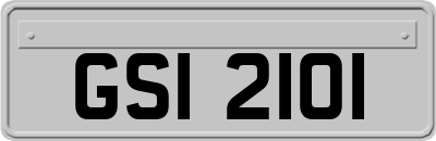 GSI2101