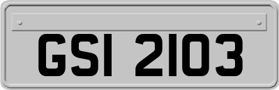 GSI2103