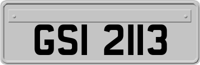 GSI2113