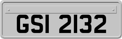 GSI2132