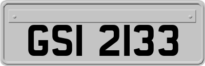GSI2133