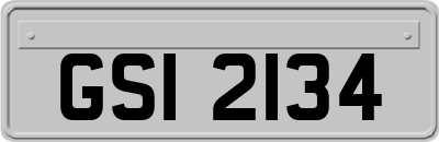 GSI2134