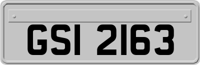 GSI2163
