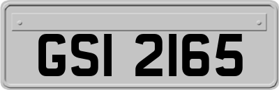 GSI2165