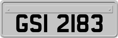 GSI2183