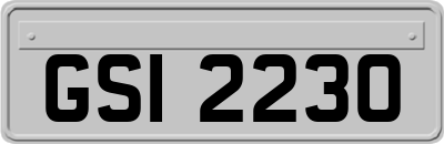 GSI2230