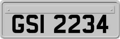 GSI2234