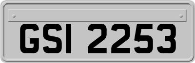 GSI2253
