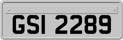 GSI2289