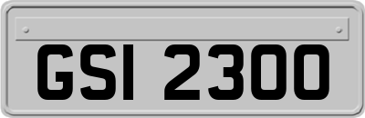 GSI2300