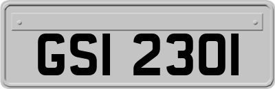 GSI2301