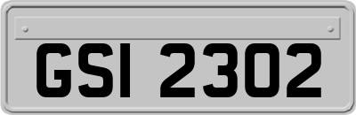 GSI2302