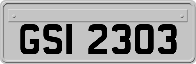 GSI2303