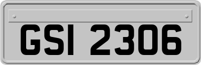 GSI2306