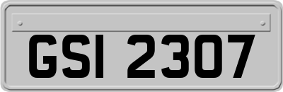 GSI2307