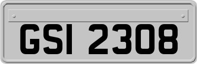 GSI2308