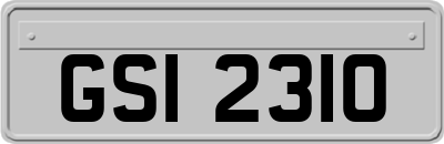 GSI2310
