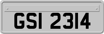GSI2314