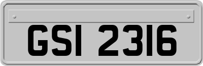 GSI2316