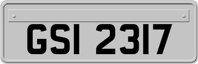 GSI2317