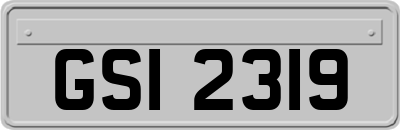GSI2319