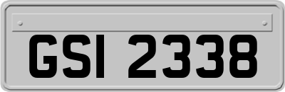 GSI2338
