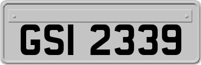 GSI2339