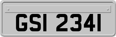 GSI2341