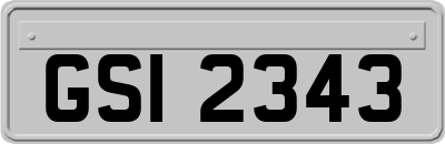 GSI2343