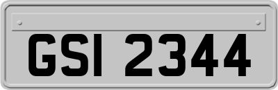 GSI2344